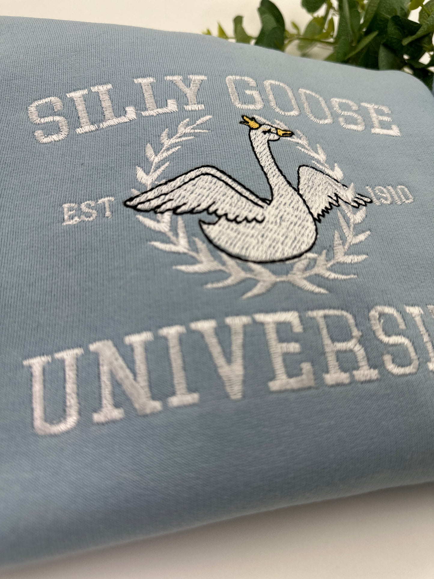 Embroidered Silly Goose University Jumper