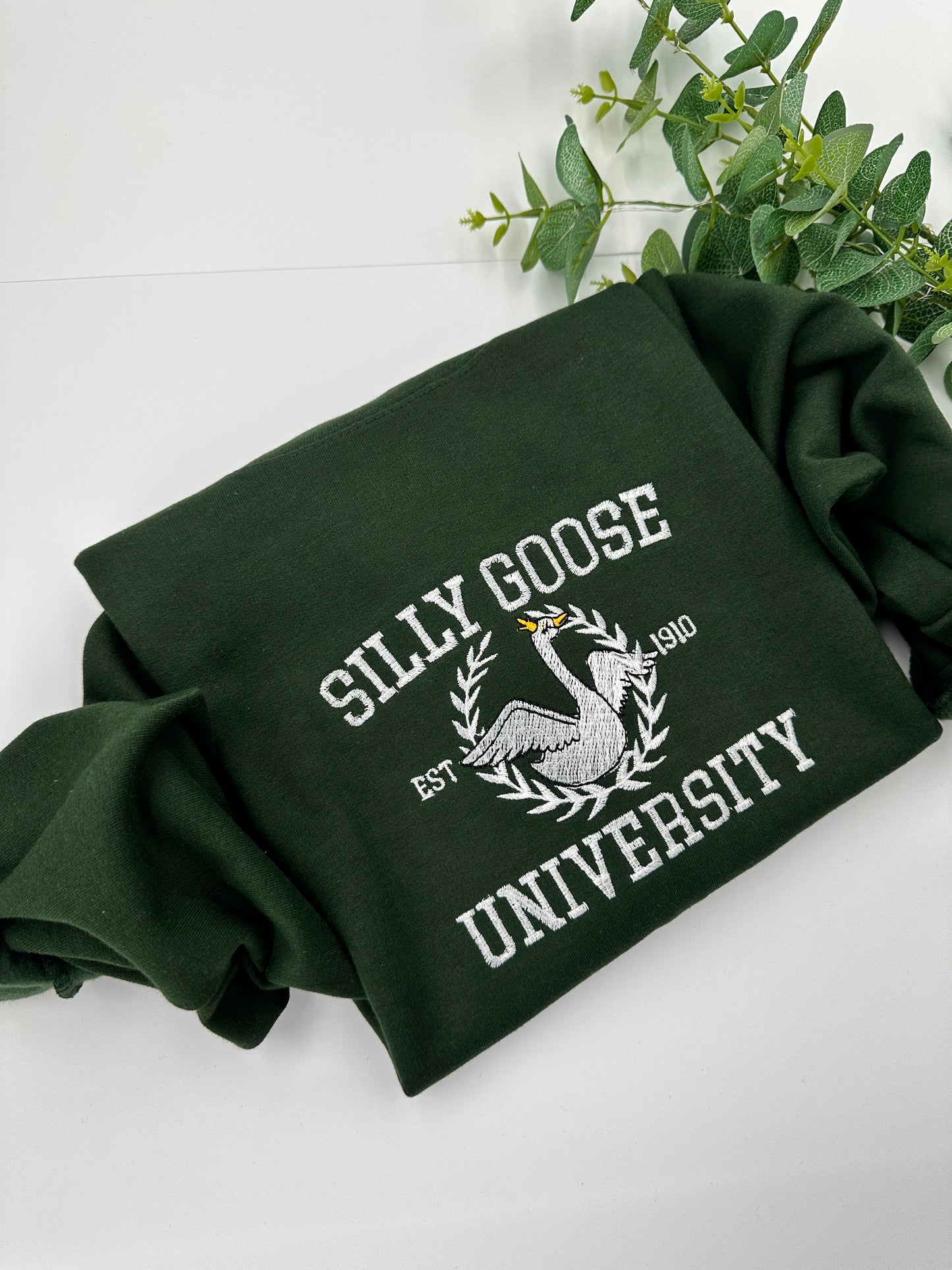 Embroidered Silly Goose University Jumper