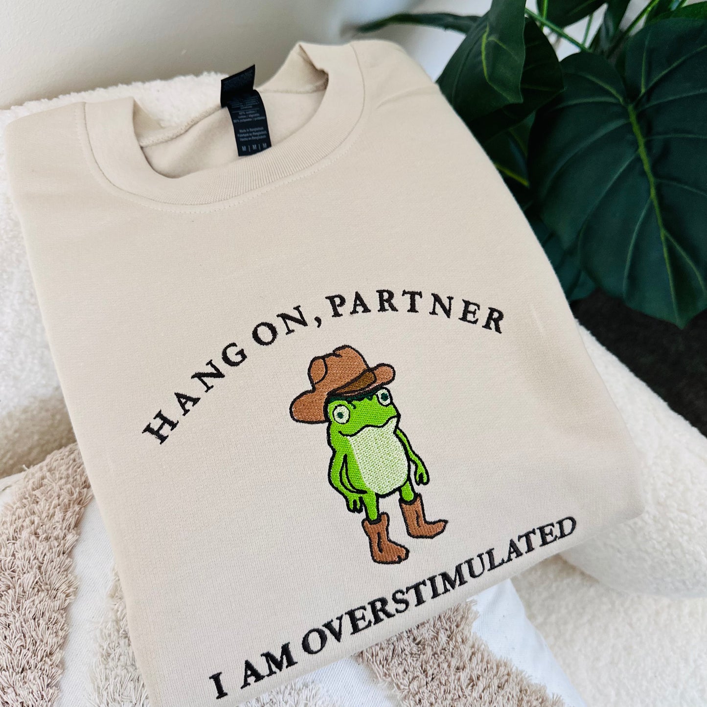 Hang On, Partner Overstimulated Frog Embroidered Sweatshirt, Funny Cowgirl Hoodie, Cute Western Gift Idea